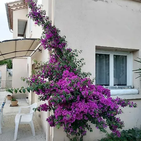 La Maison De 6Fran Appartement 2 Chaleureux Et Calme Ambiance Familiale Valros Exterior photo