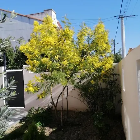 La Maison De 6Fran Appartement 2 Chaleureux Et Calme Ambiance Familiale Valros Exterior photo